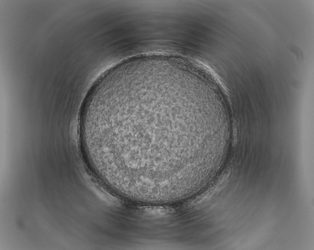 X0000111860439200908061339