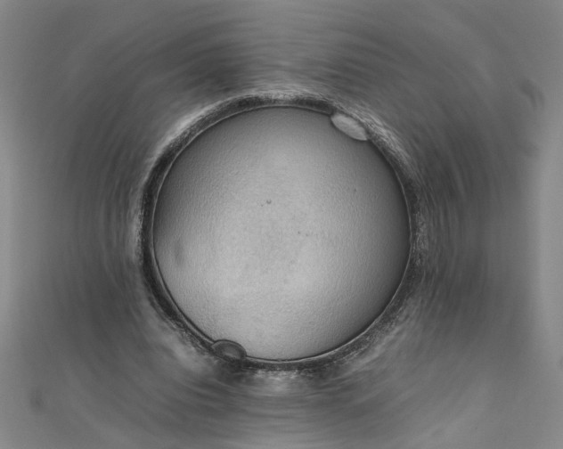 X0000111860440200908061339