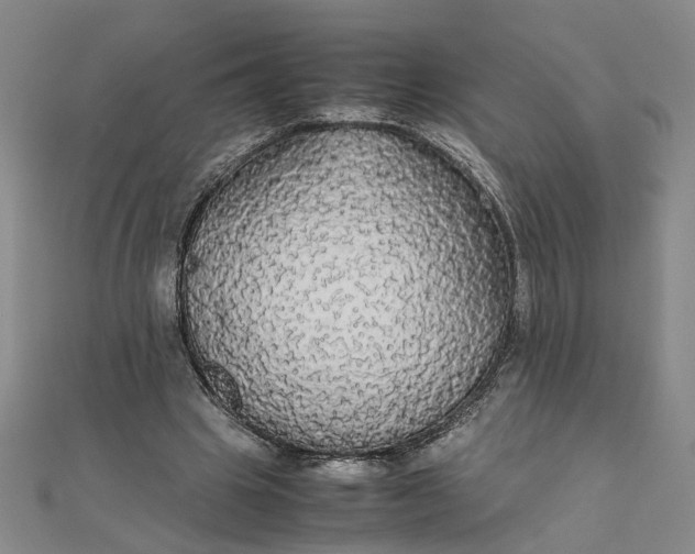 X0000111860441200908061339