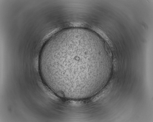 X0000111860442200908061339