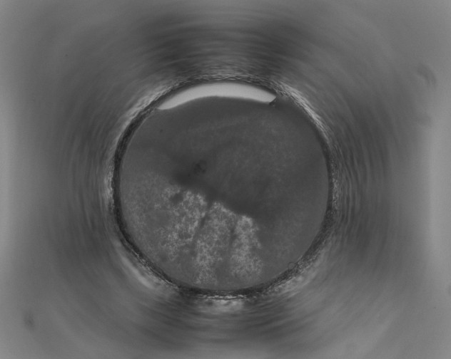 X0000111860443200908061339