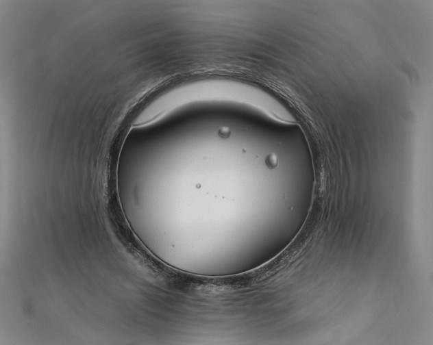 X0000111860444200908061339