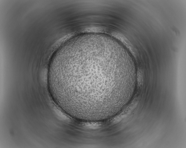 X0000111860445200908061339