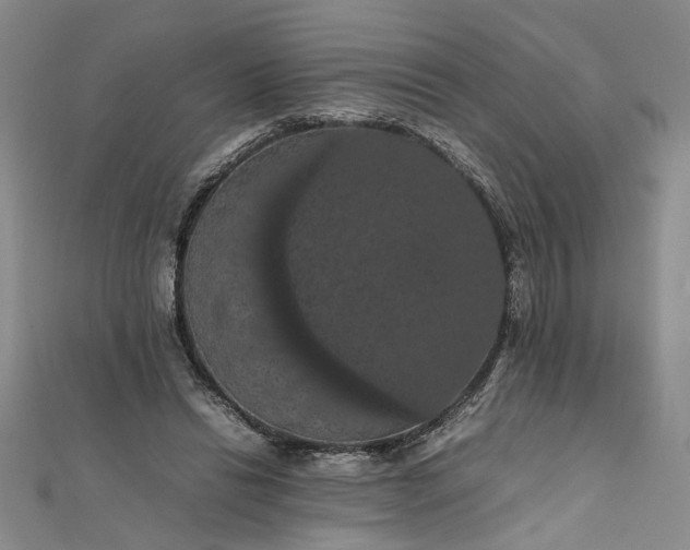 X0000111860446200908061339