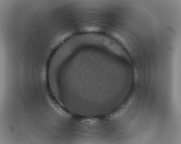 X0000111860447200908061339