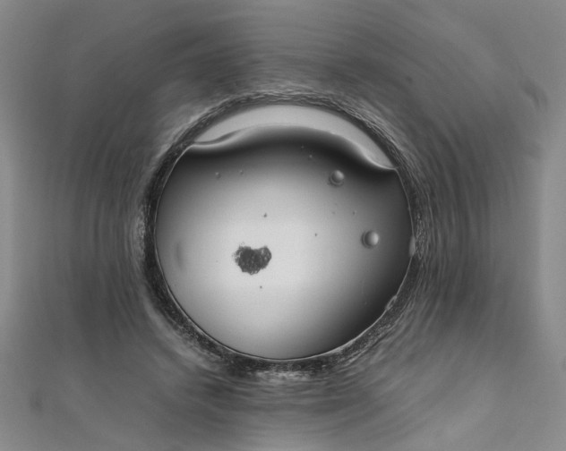 X0000111860448200908061339