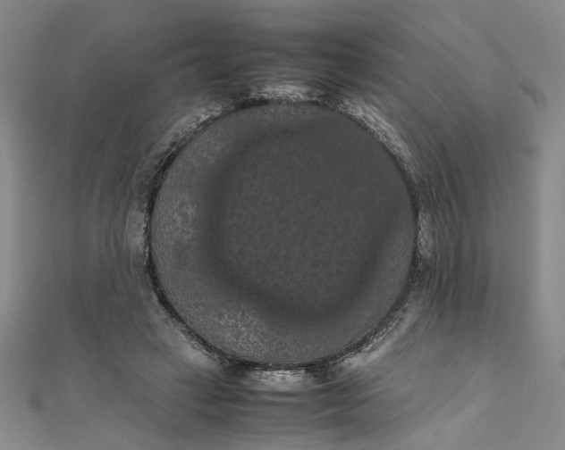 X0000111860449200908061339