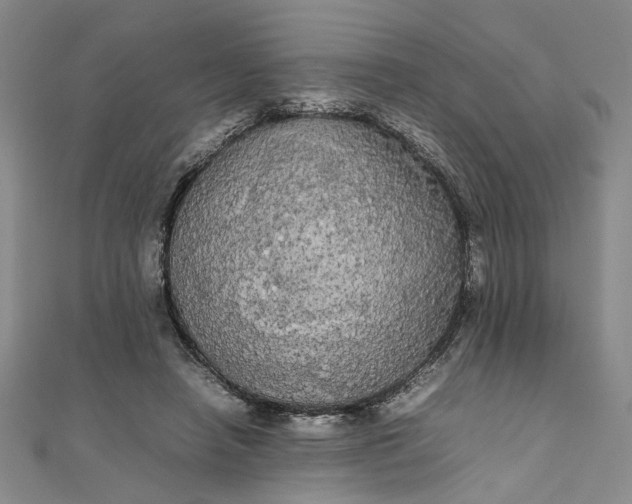 X0000111860450200908061339