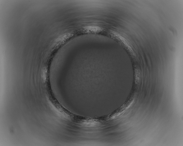 X0000111860451200908061339