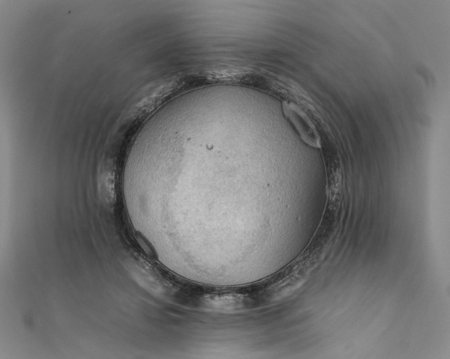 X0000111860452200908061339