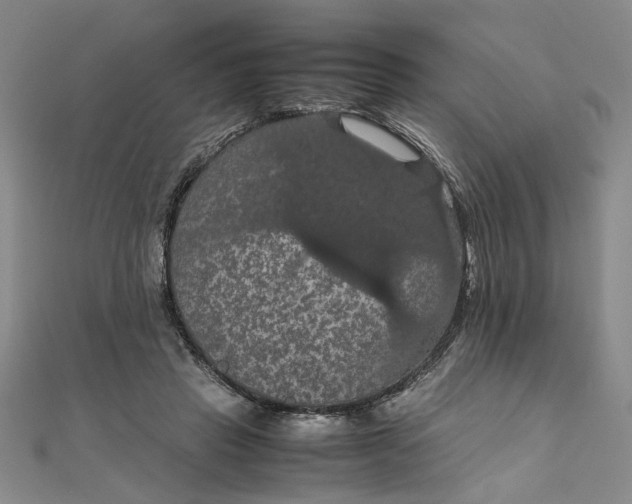 X0000111860453200908061339