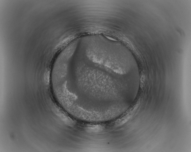 X0000111860454200908061339