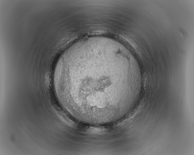 X0000111860455200908061339