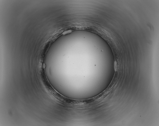 X0000111860456200908061339