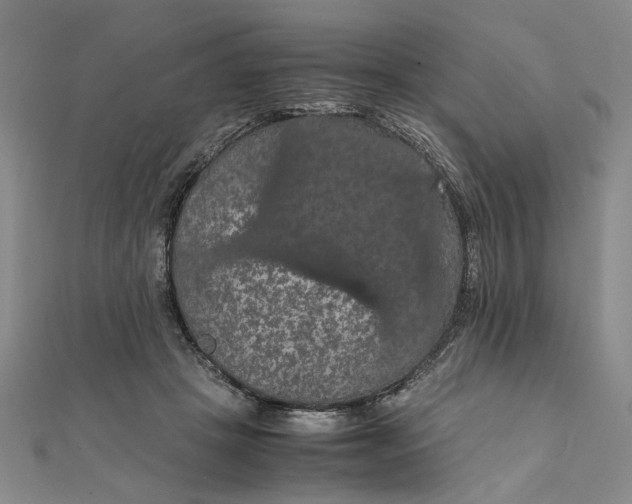 X0000111860457200908061339