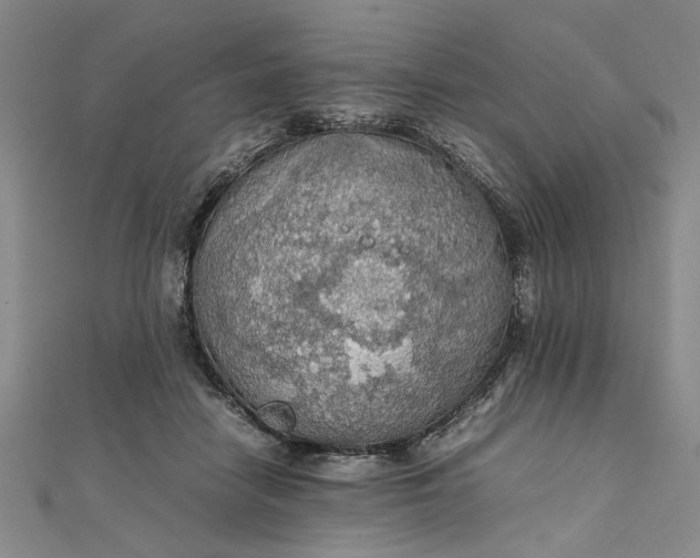 X0000111860458200908061339