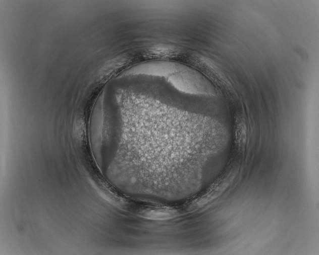 X0000111860459200908061339