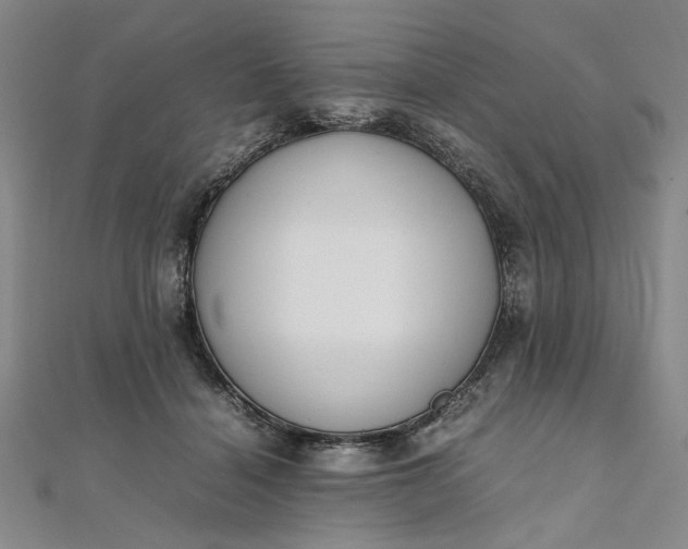 X0000111860460200908061339