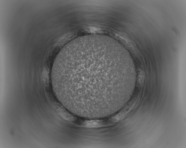 X0000111860461200908061339