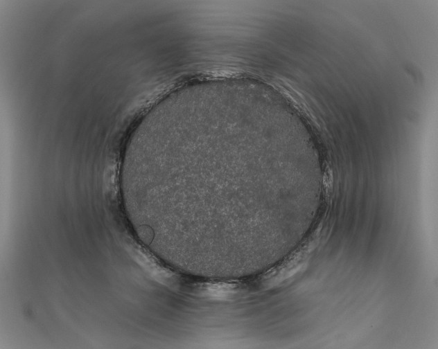 X0000111860462200908061339