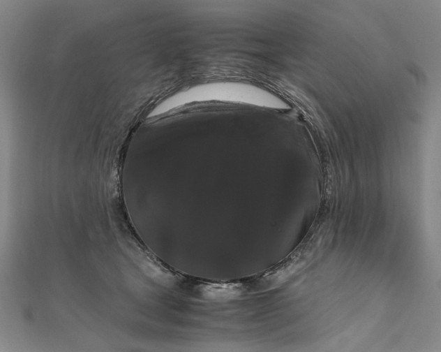 X0000111860465200908061339