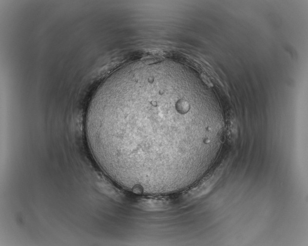 X0000111860466200908061339