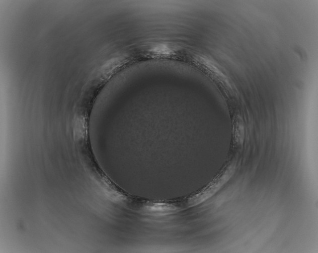 X0000111860467200908061339