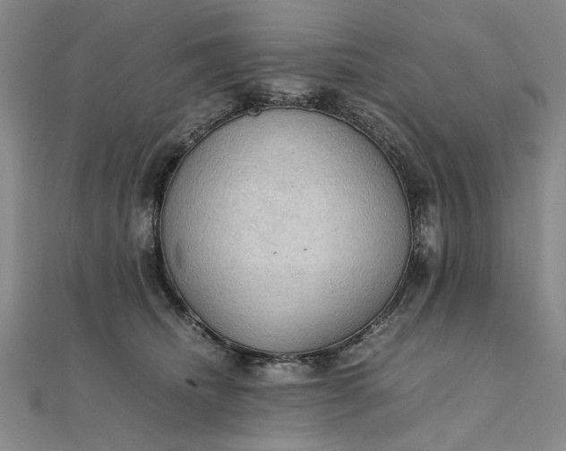 X0000111860468200908061339