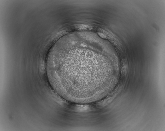 X0000111860469200908061339