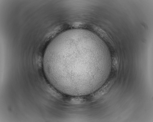 X0000111860470200908061339