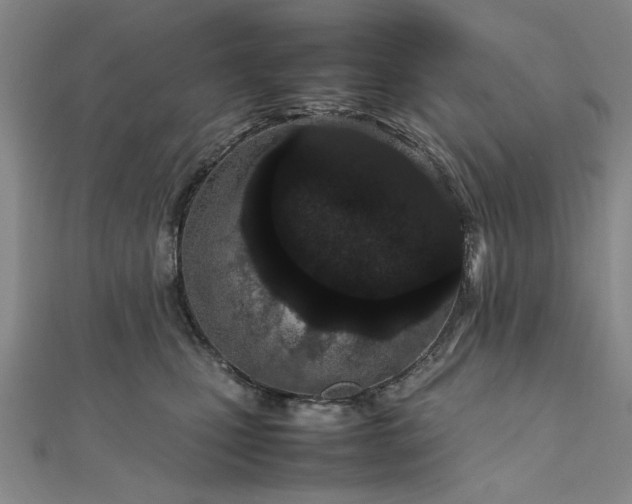 X0000111860471200908061339