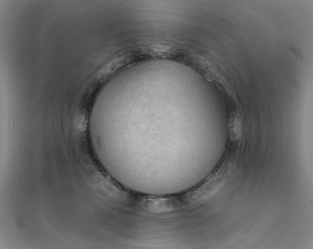 X0000111860472200908061339