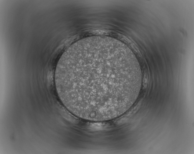 X0000111860473200908061339