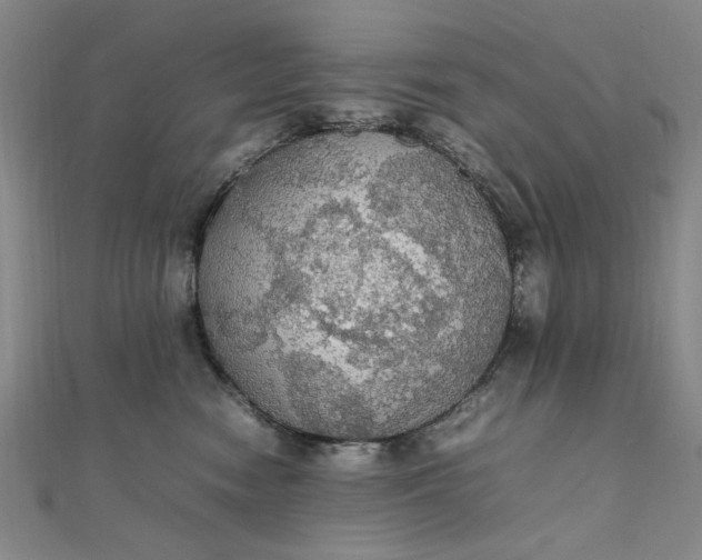 X0000111860474200908061339