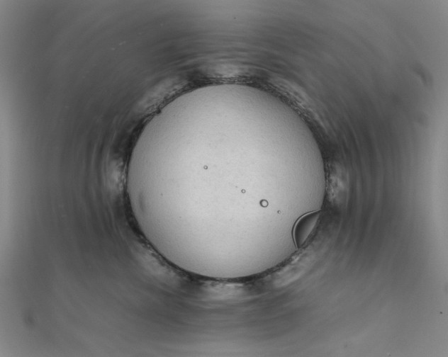 X0000111860476200908061339