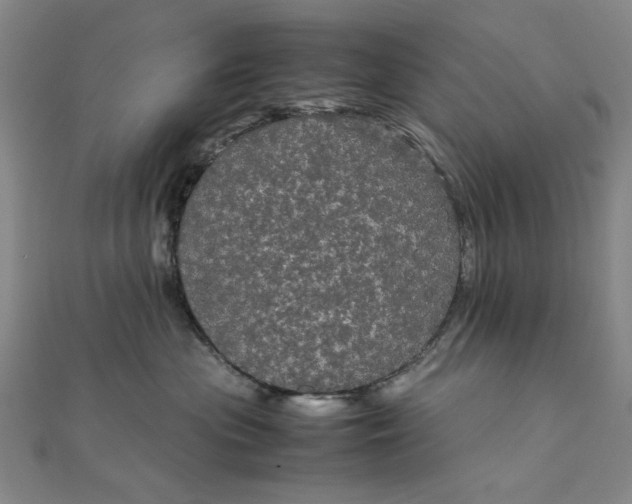 X0000111860477200908061339