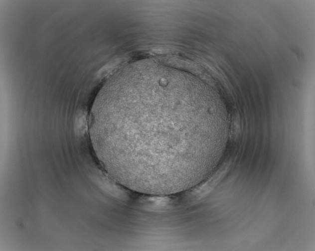 X0000111860478200908061339