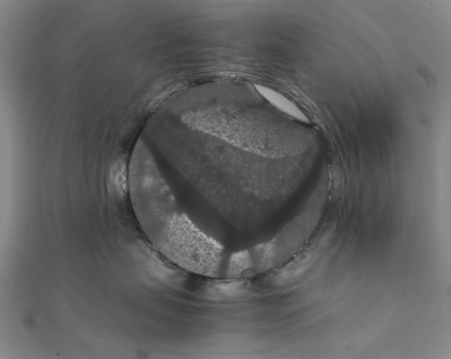 X0000111860479200908061339