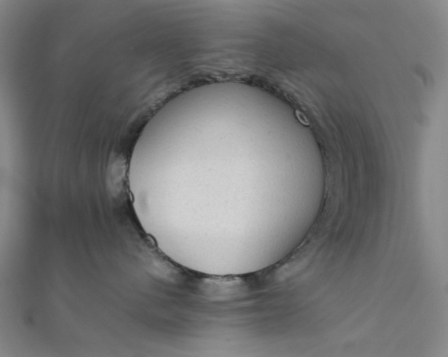 X0000111860480200908061339