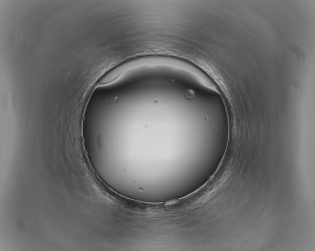 X0000111860481200908061339