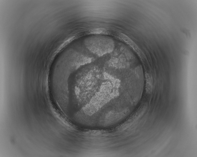 X0000111860482200908061339