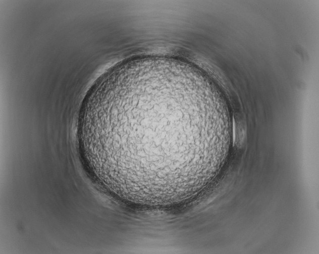 X0000111860483200908061339