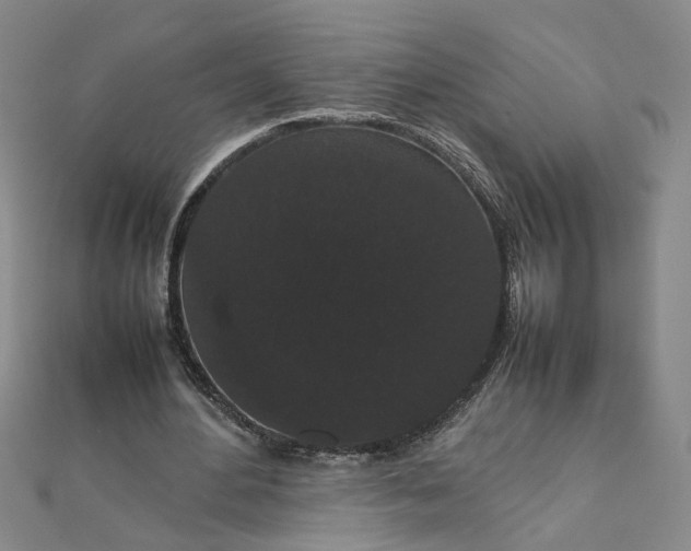 X0000111860484200908061339