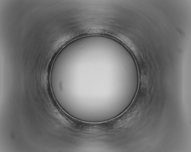 X0000111860485200908061339