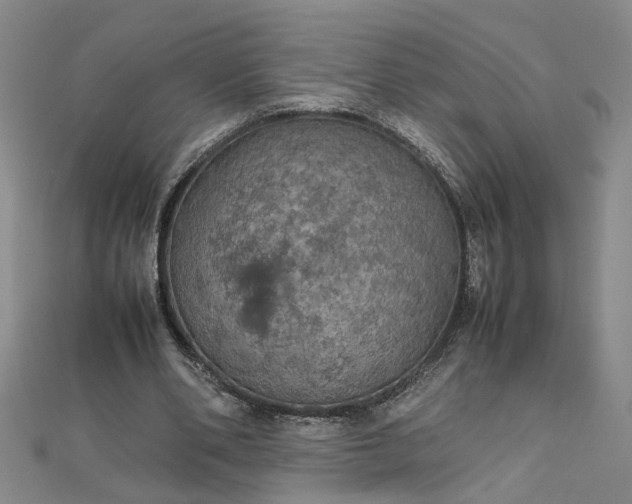 X0000111860486200908061339