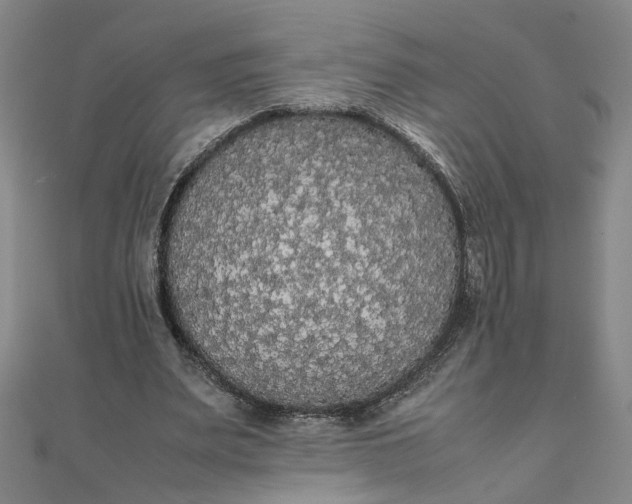 X0000111860487200908061339