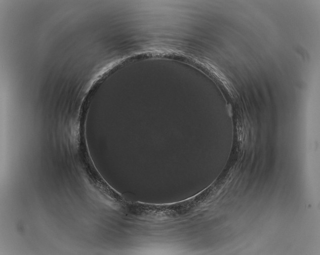 X0000111860488200908061339