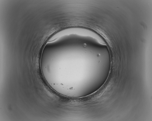 X0000111860489200908061339