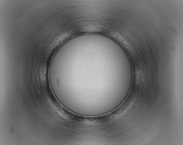 X0000111860490200908061339