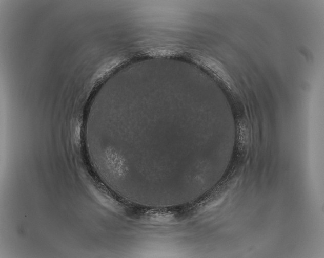 X0000111860491200908061339